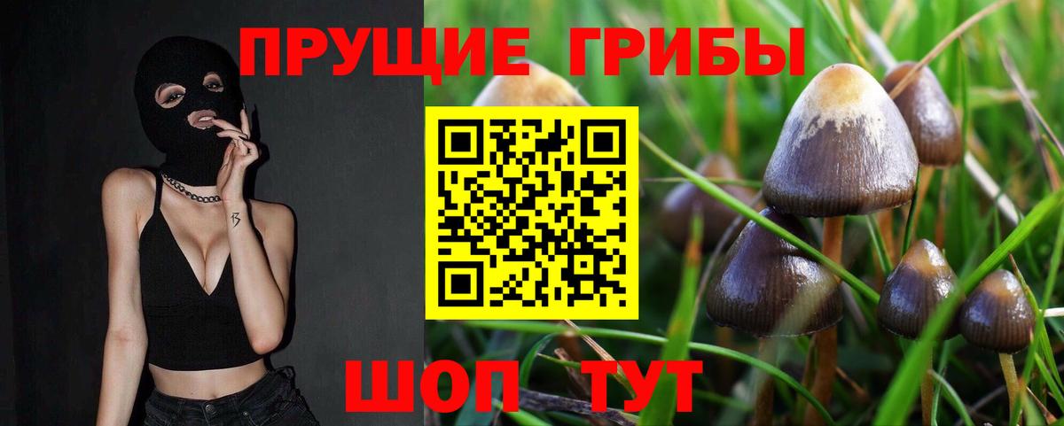 Гагарин  Псилоцибиновые грибы Psilocybine cubensis  Галлюциногенные грибы мицелий  Вход с VPN 